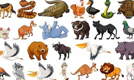 Drawing Land Animals! | Small Online Class for Ages 5-8 | Outschool