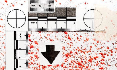 Forensic Science Blood Splatter Analysis Small Online Class For