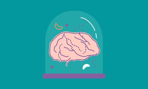 Brain Science Where Does Anxiety Come From Small Online Class