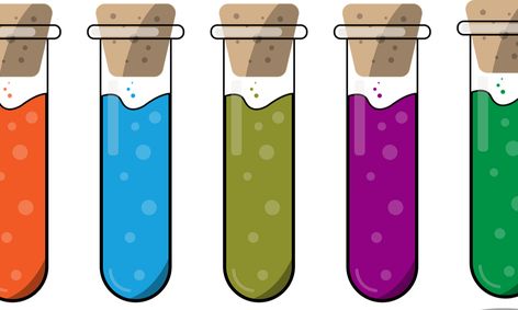 Design and Perform Your Own Scientific Experiment Using the Scientific