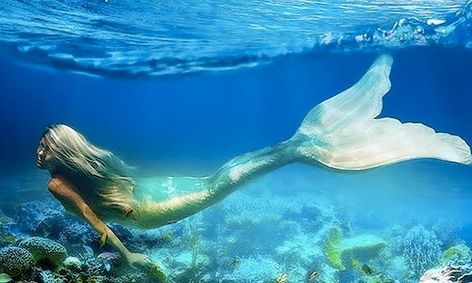 Mystical Mermaids Deep Sea Adventure Fun Facts And Fiction Small Online Class For Ages 3 8 Outschool Creature picture mystical creatures anime fantasy fantasy artwork art fantasy mermaids mermaid tale fantasy art mythical creatures art. mystical mermaids deep sea adventure fun facts and fiction small online class for ages 3 8