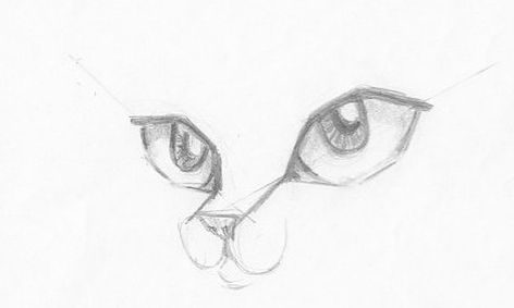 How To Draw Anime Manga Cats Small Online Class For Ages 9 14