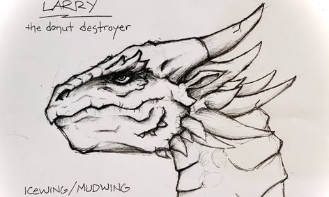 I 09kyp4wafekm Chinese dragons drawn in various poses feature specific physical characteristics. https outschool com classes drawing dragons art inspired by wings of fire y5sqmjlc