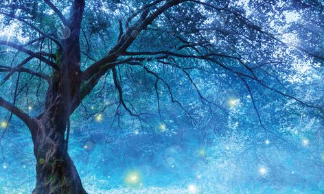 The History And Mystery Of Magic Small Online Class For Ages 8