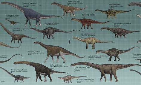 sauropod dinosaurs list
