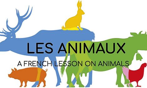 Les Animaux (a French Lesson on Animals!) | Small Online Class for Ages  8-13 | Outschool