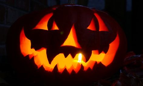 Extracting Dna From Your Halloween Or Thanksgiving Pumpkins