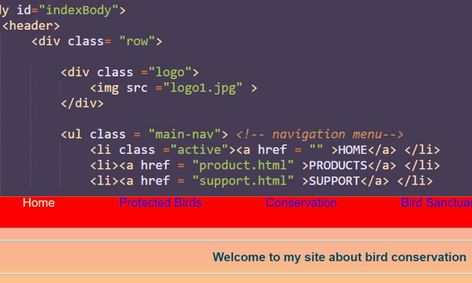 Css Online Class