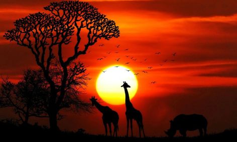 Swahili For Beginners 104 Of 108 Small Online Class For Ages 8
