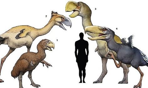 dinosaurs 101 national geographic