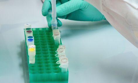 Discovery Lab Mad Science Camp Small Online Class For Ages 5 10