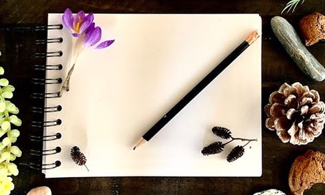 Nature Journaling With A Sprinkle Of Science Art And Critical