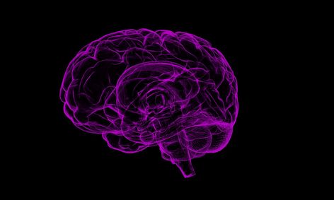Intro To Psychology Prep For Ap Psych Exam Lesson 1 History Approaches Small Online Class For Ages 14 18 Outschool