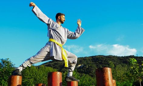 Tai Chi Qi Gong Meditation Ages 8 12 Small Online Class For