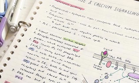 The Basics Of Notetaking Small Online Class For Ages 9 14
