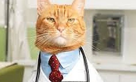 Introduction To Veterinary Careers Small Online Class For Ages 10 15 Outschool