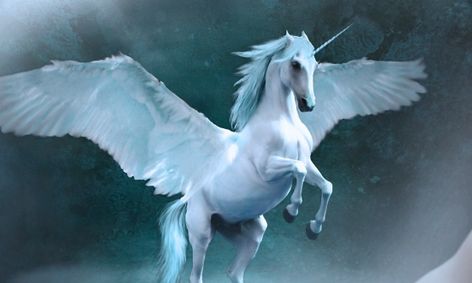 Keeper Of The Lost Cities Book Club The Black Swan Books 1 5 Small Online Class For Ages 10 14 Outschool