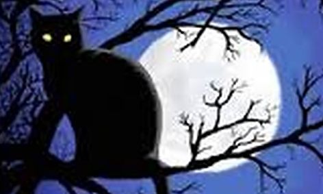 Get Your Read On With The Black Cat Written By Edgar Allan Poe