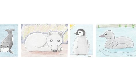 Learn To Draw Baby Animals From Around The World Flexible