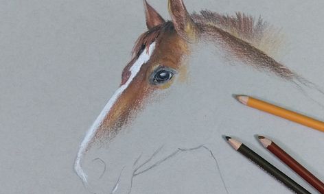 How To Draw Horses Small Online Class For Ages 8 12 Outschool