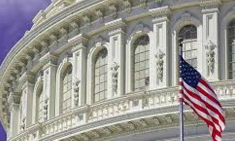 American Government And Politics Civics Semester Course