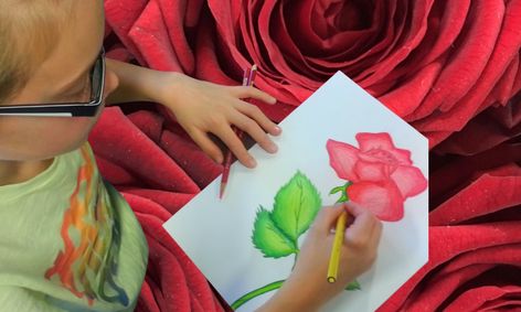 Realistic Flower Drawing Rose One Time Class Art With Meg Navarro Small Online Class For Ages 7 11 Outschool Whether you're trying to craft realistic flower art or stylized blooms, it's important to note what's beyond the. realistic flower drawing rose one time class art with meg navarro small online class for ages 7 11