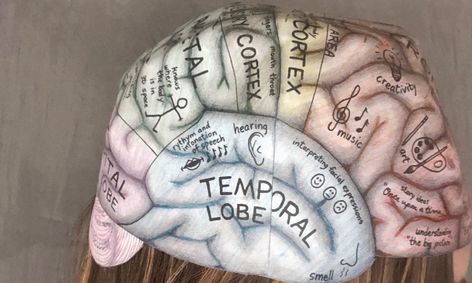 Make Your Own Brain Hat Human Neuroanatomy And Physiology Small