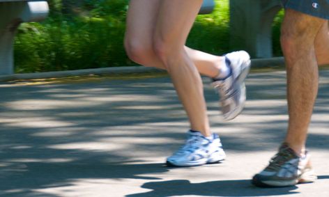 Human Anatomy Muscular Introduction And Lab Small Online Class