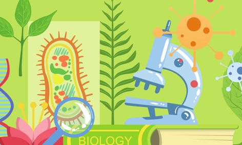 Middle School Life Science: Ongoing | Small Online Class for Ages 11-14