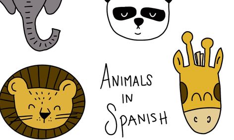 Lets Draw Animals Spanish Edition Small Online Class For Ages 6 11 Outschool