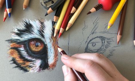 Drawing With Colored Pencil Techniques And Tiger Eyes Small Online Class For Ages 12 17 Outschool Prismacolor premier graphite pencils with erasers & sharpeners, 18 piece drawing pencil set | sketching pencils. drawing with colored pencil techniques and tiger eyes small online class for ages 12 17