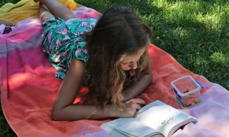 Nonfiction Matters Finding The Main Idea Reading Small Online Class For Ages 9 10 Outschool