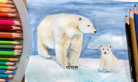 Drawing With Watercolor Pencils Cardinal Mountains Polar Bear Hot Chocolate Small Online Class For Ages 6 11 Outschool Below you will find the watercolor painting landscape demonstrations on this website.