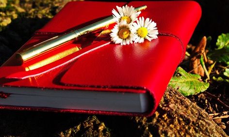 Nature Journaling A Scientific Investigation Into The Natural