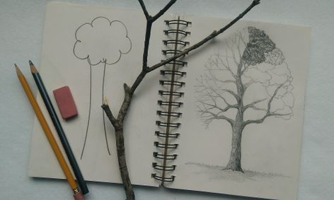 Drawing Trees With Amy Roadman 6 9 Yrs Small Online Class For