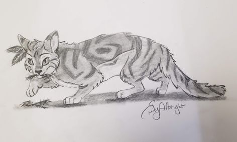 Warrior Cat Learn How To Draw Jayfeather From Warrior Cats Series Step By Step Small Online Class For Ages 10 15 Outschool