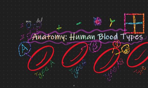 Human Anatomy Blood And Blood Types Small Online Class For Ages