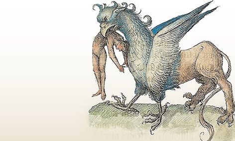 Discover Harry Potter Character Names And Magical Creatures Small Online Class For Ages 8 13 Outschool