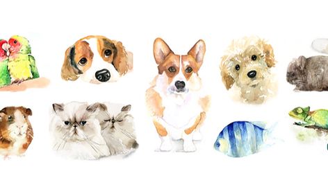 Watercolor Painting Animal Pet Portraits Corgi Beagle Chinchilla Chameleon Small Online Class For Ages 8 13 Outschool