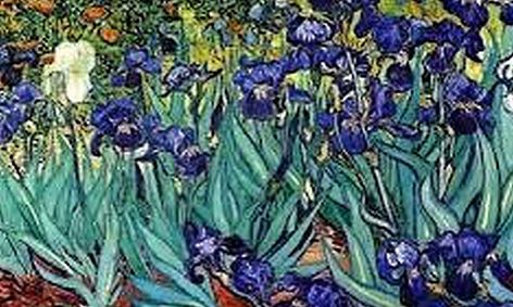Paint Vincent Van Gogh S Irises Small Online Class For Ages 9 13
