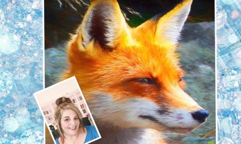 miss ally s forest explorers life of a red fox fun writing activities flex small online class for ages 6 11