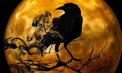 Halloween Inspired Painting Class Small Online Class For Ages 12