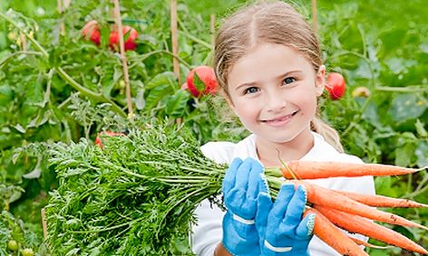 Gardening 101 Learn How To Grow Food At Home Small Online Class For Ages 6 10 Outschool