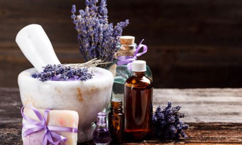 Herbology 101 Helpful Herbs For The Home Small Online Class For