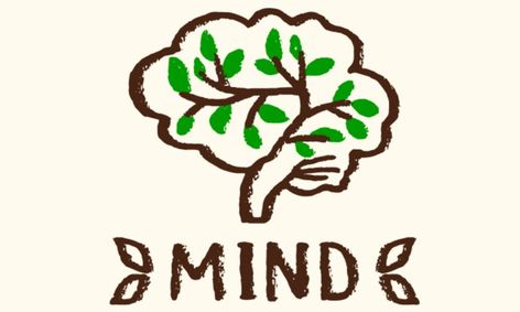 Mind Matters Introduction To Psychology Small Online Class For