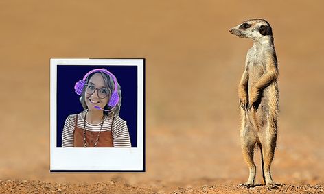 All About Meerkats Small Online Class For Ages 7 11 Outschool What people trade for ride meerkat. all about meerkats small online class for ages 7 11
