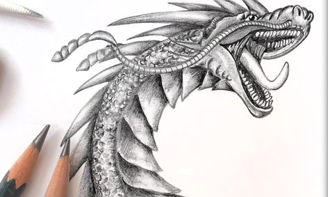 Scales Tails Pencil Shading Art Class Practices Shading With Cool Creatures Small Online Class For Ages 10 15 Outschool Students should fill in the values of the shading bar. scales tails pencil shading art class practices shading with cool creatures small online class for ages 10 15