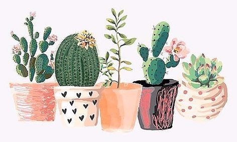Succulents And Cacti Draw Or Paint Small Online Class For Ages 7 12 Outschool