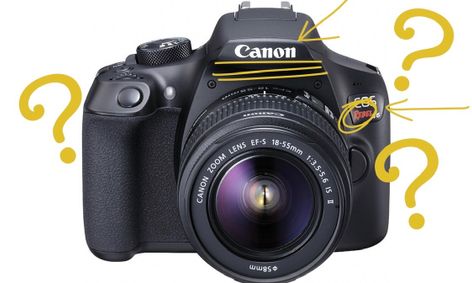 Get To Know Your Canon Rebel Dslr Small Online Class For Ages 9 14 Outschool