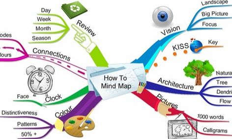 Mind Mapping For Study Skills And Creativity 11 To 14 Yo Small Online Class For Ages 11 14 Outschool